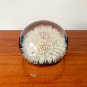 Anthropologie Dandelion Paperweight